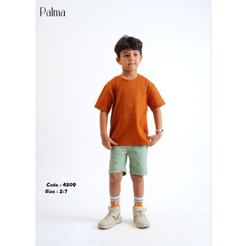 palma تيشرت أولادي صيفي